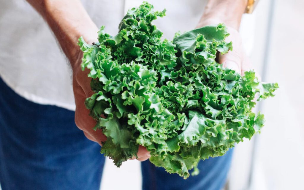 Close up view of hands holding a bunch of kale
